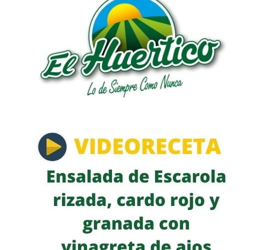 Ensalada_escarola_rizada_cardo_rojo_granada_vinagreta_ajos_fritos